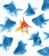 inspired leadership1