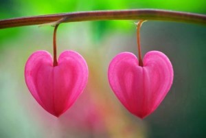 On the Healing Experience8